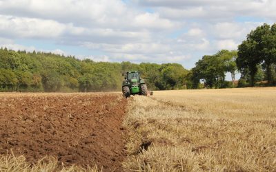 Sustainable Farming Scheme – Outline Proposals Published