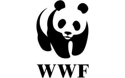 WWF yn chwilio am leisiau ifanc i gymryd rhan mewn prosiect