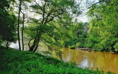 Tackling phosphorus pollution in SAC rivers