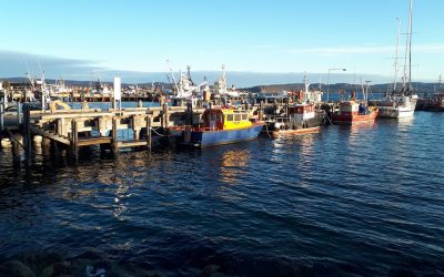 Welsh Government provide £600,000 to improve health and safety for fishers and aquaculture workers