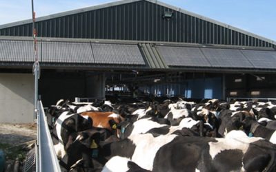 NFU Cymru expresses concern about the future of the dairy industry in Wales