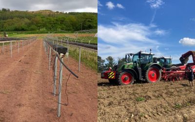 Farming Connect reports on the winners of the first round of the Horticulture Development Scheme