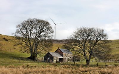 Wales Climate Week: A chance to watch sessions on demand
