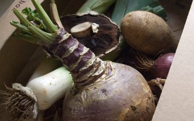 New report by the Landworker’s Alliance looks at investment in vegetable production
